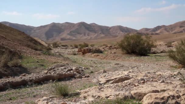 Paisaje desierto de Judea — Vídeo de stock