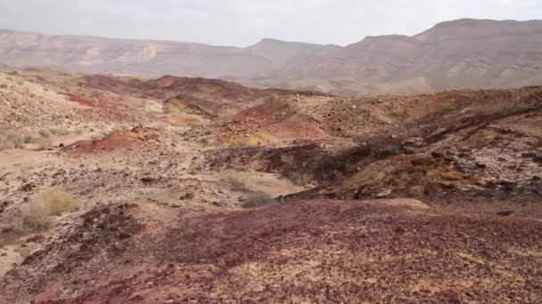 Vista del paisaje del desierto — Vídeos de Stock