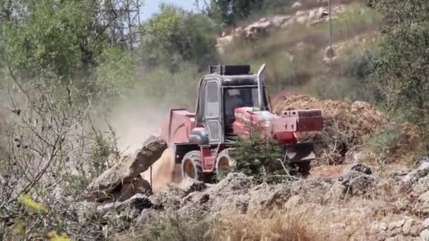 Trabalhos de tractores em campo — Vídeo de Stock