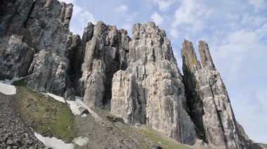 Kalın gagalı Murres koloni