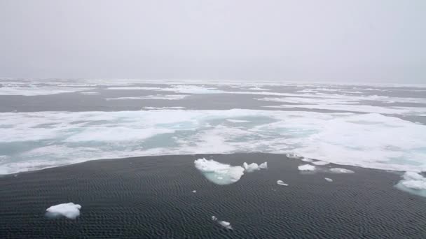 Glace sur la mer Arctique 
