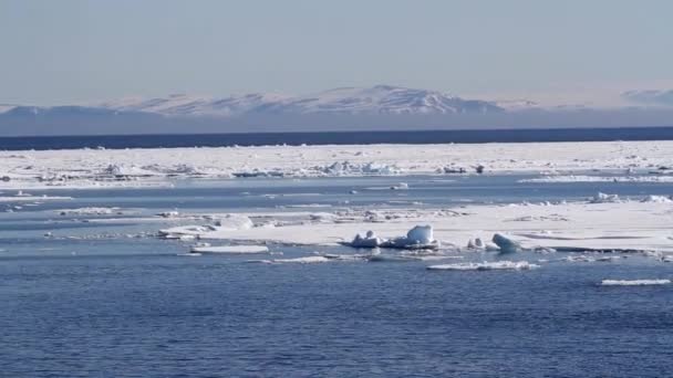 Havet ice flytande — Stockvideo