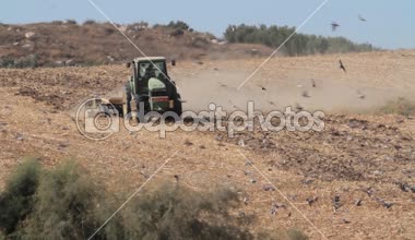 Alanda sürüş traktör