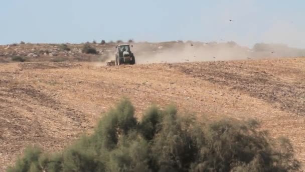Traktor kører gennem feltet – Stock-video