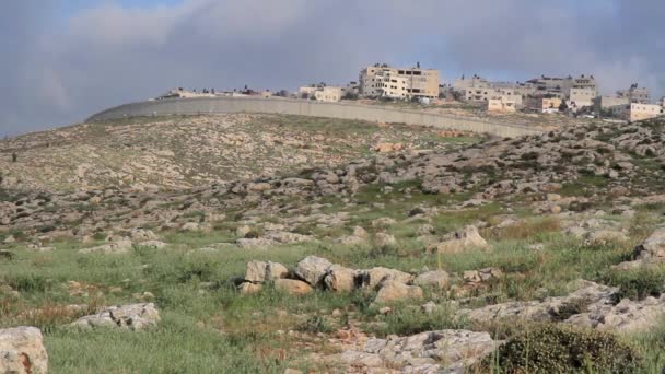 东部耶路撒冷安全墙 — 图库视频影像