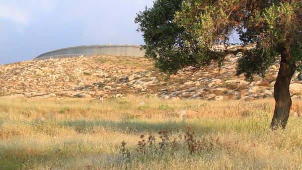 Палестинської село з безпеки стіни — стокове відео