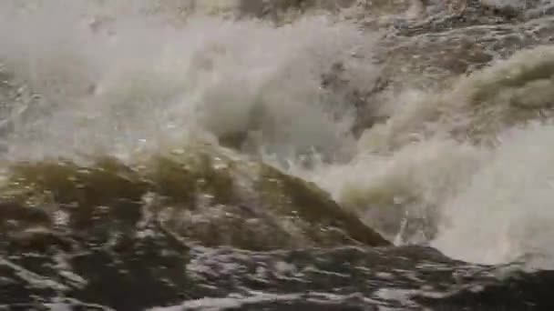Szaleje przepływ rzeki — Wideo stockowe