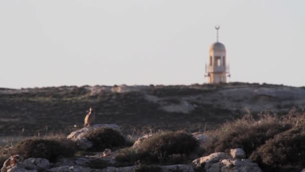 Islamische Moschee in Israel — Stockvideo