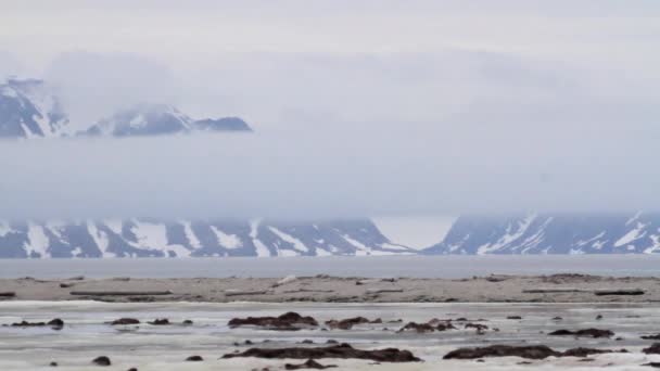 Antarctica besneeuwde bergen en zee — Stockvideo