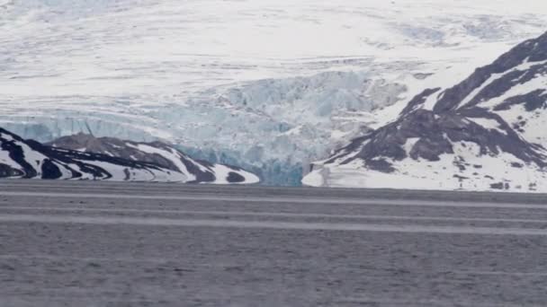 Antarctica besneeuwde bergen en zee — Stockvideo