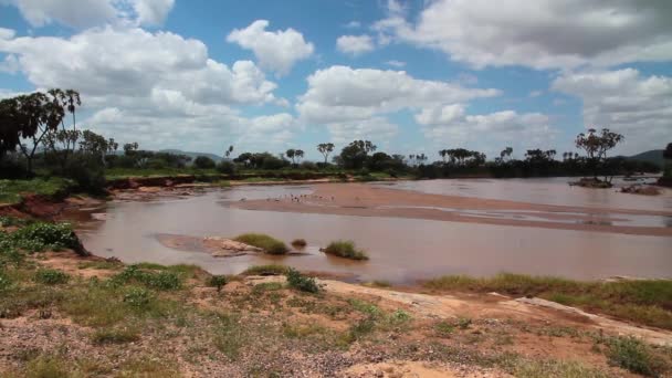 Paysage lacustre avec ciel — Video