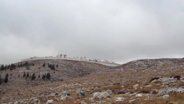 Pueblo palestino con muro de seguridad — Vídeos de Stock