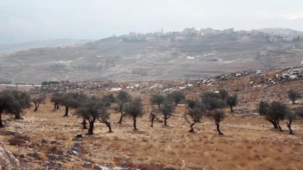 Pueblo palestino con muro de seguridad — Vídeo de stock