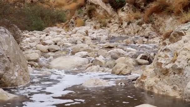 Arroyo en valle de montaña — Vídeo de stock