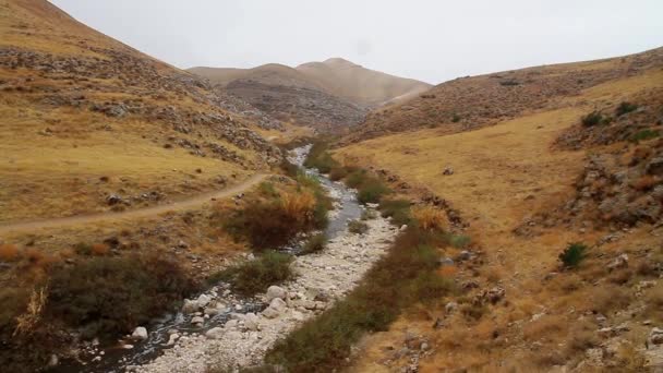Ruisseau dans la vallée de montagne — Video