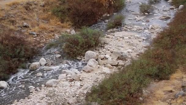 Arroyo en valle de montaña — Vídeo de stock