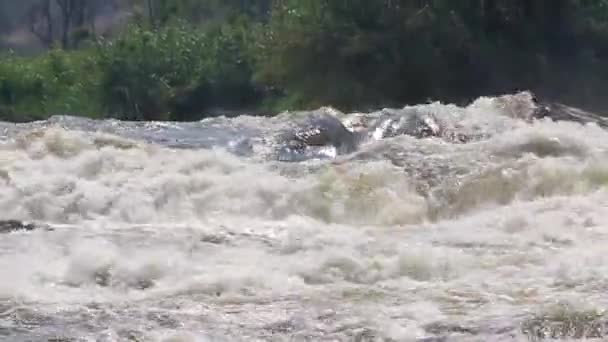 Fluir río furioso — Vídeos de Stock