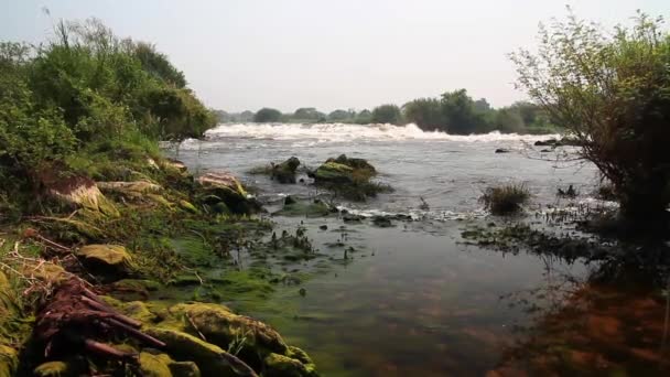 Fluir río furioso — Vídeo de stock