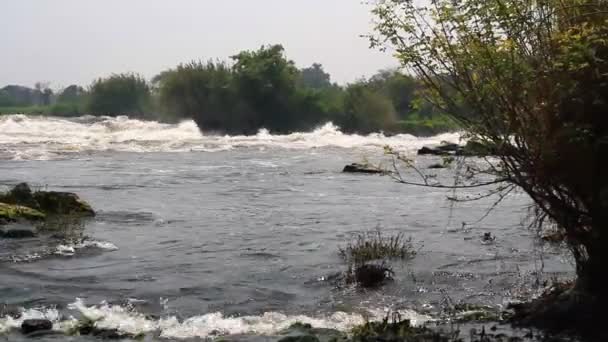 Raging river flow — Stock Video