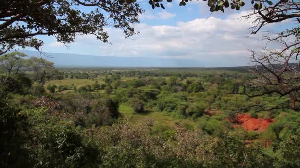 Paysage Afrique verte 