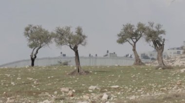 Doğu Kudüs'ü güvenlik duvarı