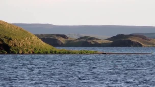 Ісландська море і гори — стокове відео