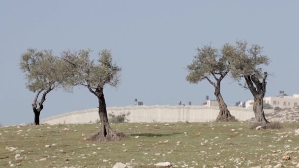 Oost-Jeruzalem veiligheidsmuur — Stockvideo