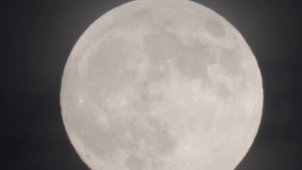 Vollmond bewegt sich — Stockvideo