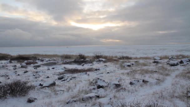 Beautiful Antarctica Landscape — Stock Video