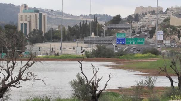 Jerusalem stadstrafik — Stockvideo