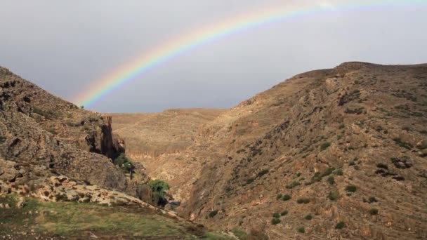 Woestijn landschap met regenboog — Stockvideo
