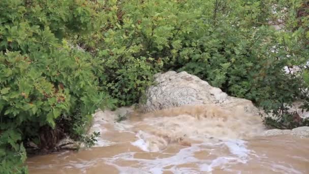 Sungai berlumpur pegunungan — Stok Video