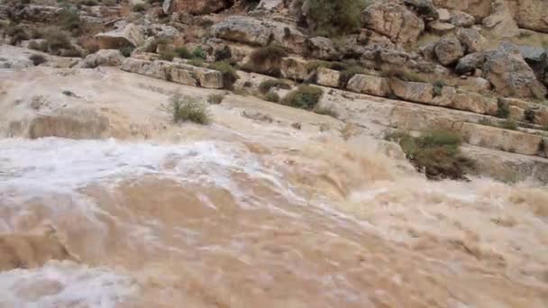 Montaña río fangoso — Vídeo de stock