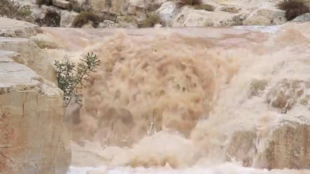 Rio lamacento da montanha — Vídeo de Stock