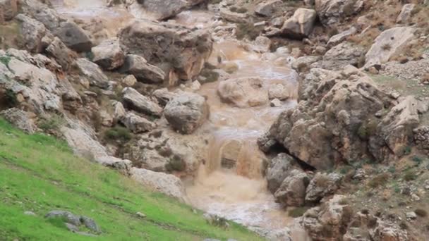 Montaña río fangoso — Vídeos de Stock