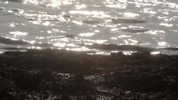 Ondulations du soleil sur la surface de l'eau — Video