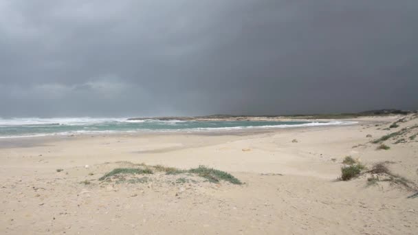 Hullámok gördülő üres strandon — Stock videók