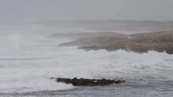 海の波のクラッシュ ロイヤリティフリーのストック動画