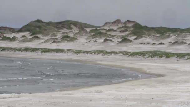 Boş kumsalda inişli çıkışlı dalgalar — Stok video