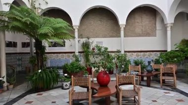 Granada, İspanya 'da geleneksel bir avlunun içi