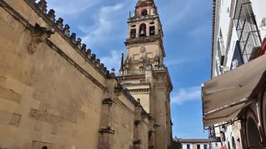 Seville, İspanya Katedrali manzarası