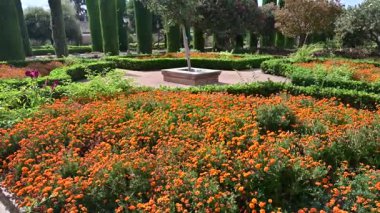 İspanya, Sevilla 'nın Alczar bahçeleri