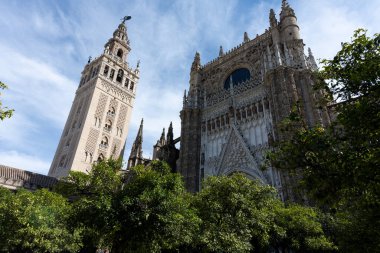 Dünyanın en büyük Gotik binalarından biri olan Seville Katedrali 'nin manzarasında etkileyici mimari ayrıntılar ve tarihi atmosfer yer alıyor. Sevilles tarihi merkezinin kalbinde bulunan kültürel ve dini bir ikon.