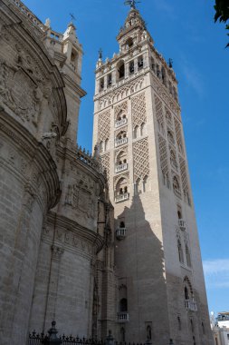 Dünyanın en büyük Gotik binalarından biri olan Seville Katedrali 'nin manzarasında etkileyici mimari ayrıntılar ve tarihi atmosfer yer alıyor. Sevilles tarihi merkezinin kalbinde bulunan kültürel ve dini bir ikon.