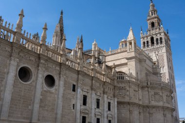 Dünyanın en büyük Gotik binalarından biri olan Seville Katedrali 'nin manzarasında etkileyici mimari ayrıntılar ve tarihi atmosfer yer alıyor. Sevilles tarihi merkezinin kalbinde bulunan kültürel ve dini bir ikon.