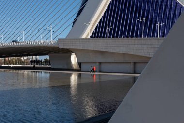 İspanya 'nın Valencia şehrinde ikonik fütüristik mimarisi, yansıtıcı su havuzları ve çarpıcı geometrik yapıları bulunan Sanat ve Bilim Şehri. Modern tasarım ve turizmle ilgili konular için ideal, ünlü bir kültürel ve bilimsel kompleks.,