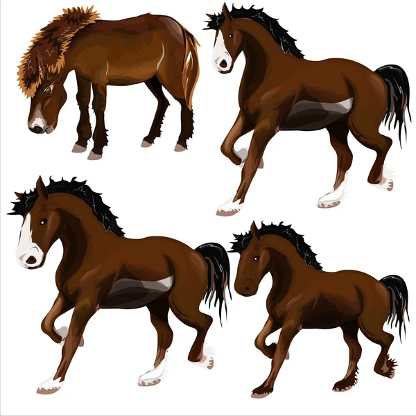 Imagem do cavalo . —  Vetores de Stock