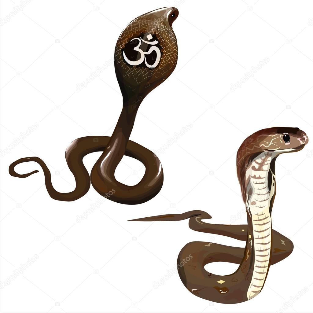 ロイヤリティフリーかっこいい コブラ 蛇 イラスト ただのディズニー画像 ロイヤリティフリーかっこいい コブラ 蛇 イラスト ただのディズニー画像