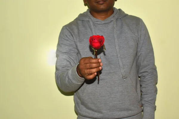 Romantic man holding rose flower for Valentine\'s Day on white background.