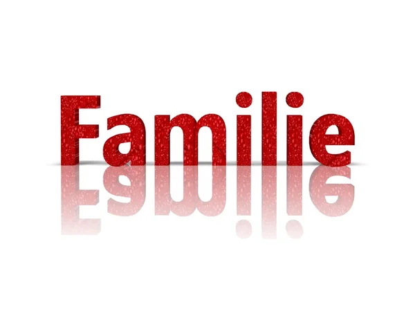 Familie 3d woord met reflectie — Stockfoto